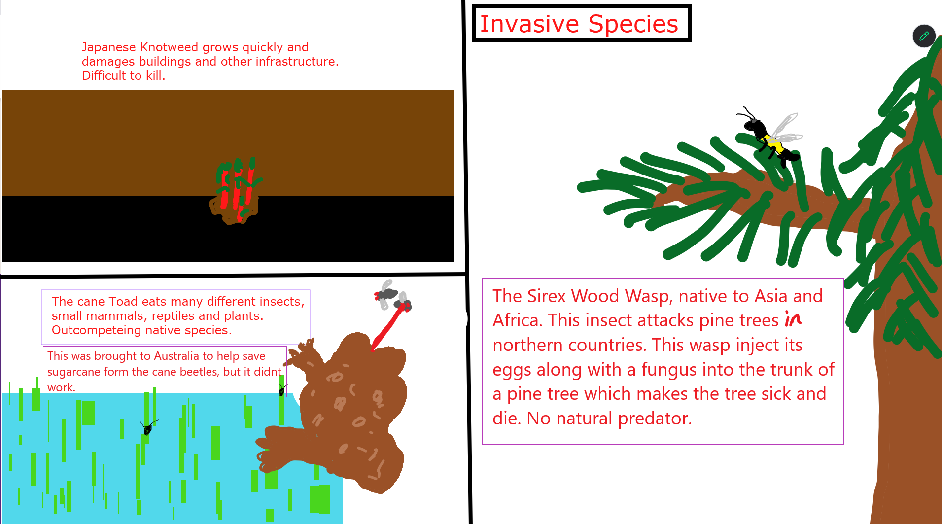 Invasive Species